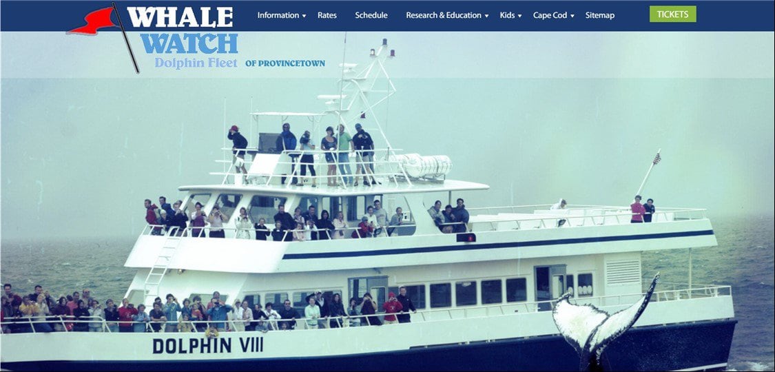 Things To Do https://pineacreschathamvacationrentals.icnd-cdn.com/images/thingstodo/Whale Watch.jpg